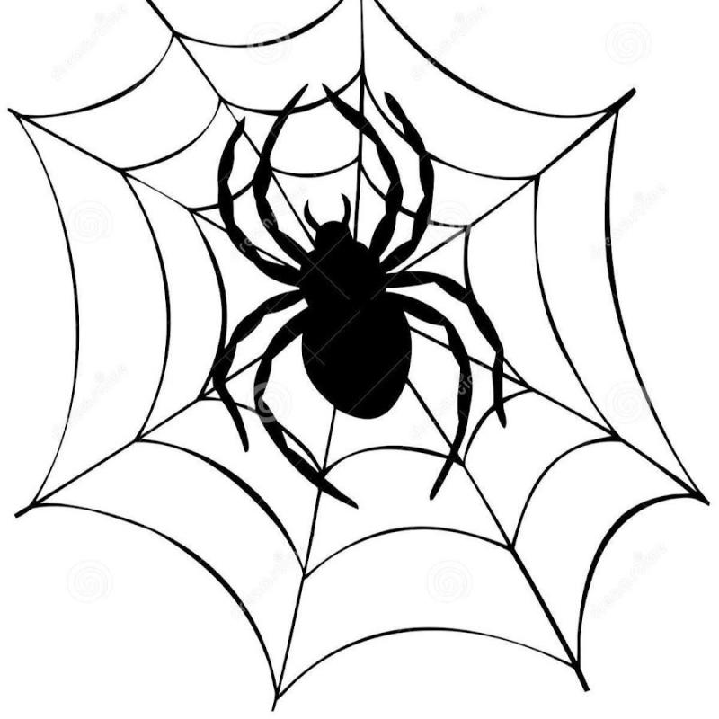 Паук раскраска для детей