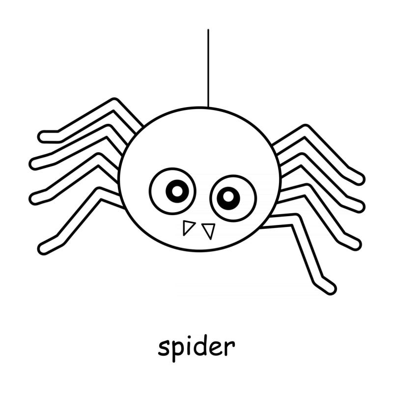 Трафарет паук для рисования для детей
