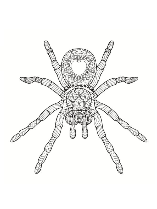 Паутина раскраска