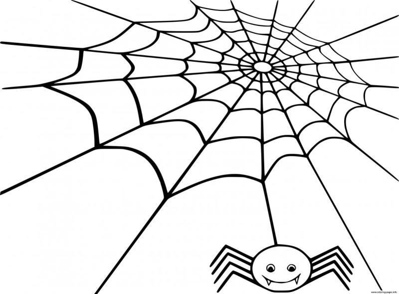 Паук раскраска для детей 3-4 лет