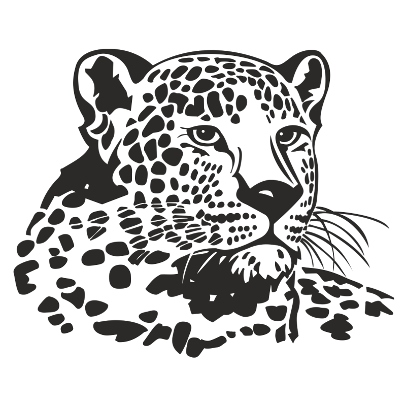 Переднеазиатский леопард