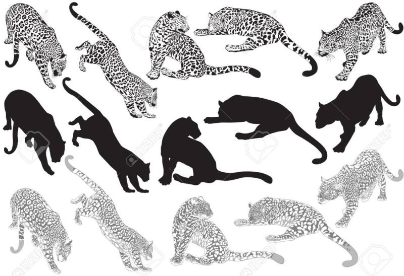 Тату голова леопарда