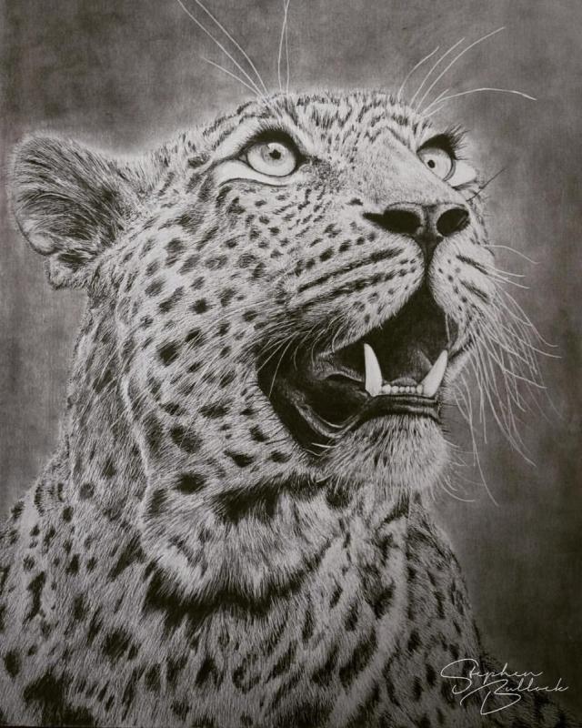 Леопард силуэт