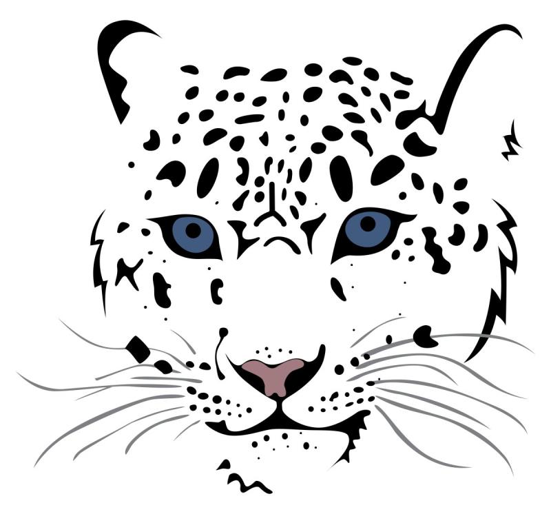 Леопард рисунок карандашом
