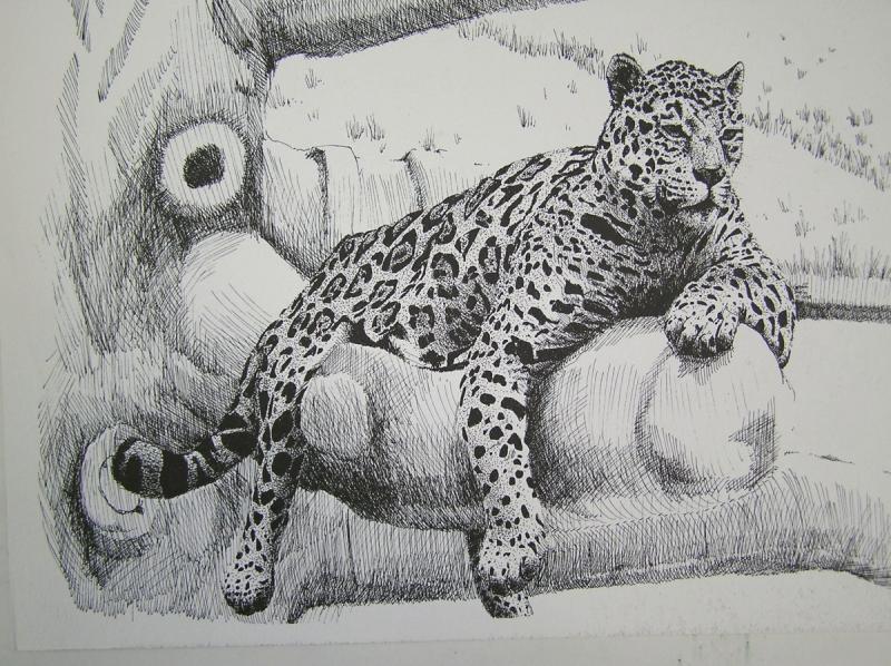 Ягуар рисунок для детей