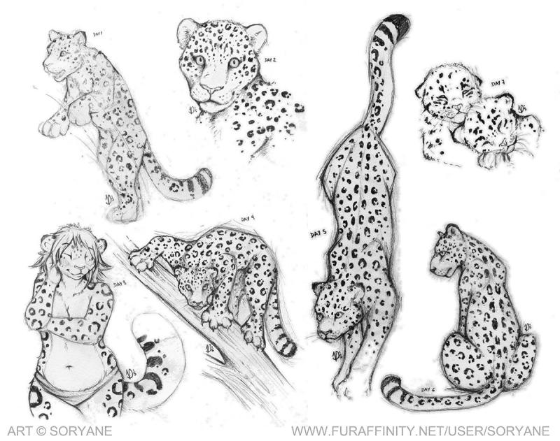 Рисунок животного