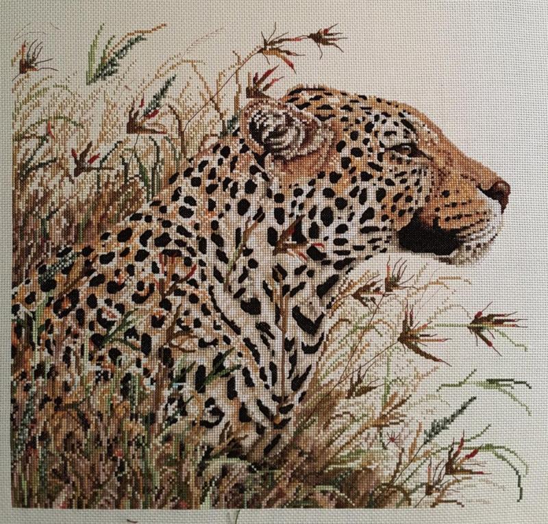 Леопард контур