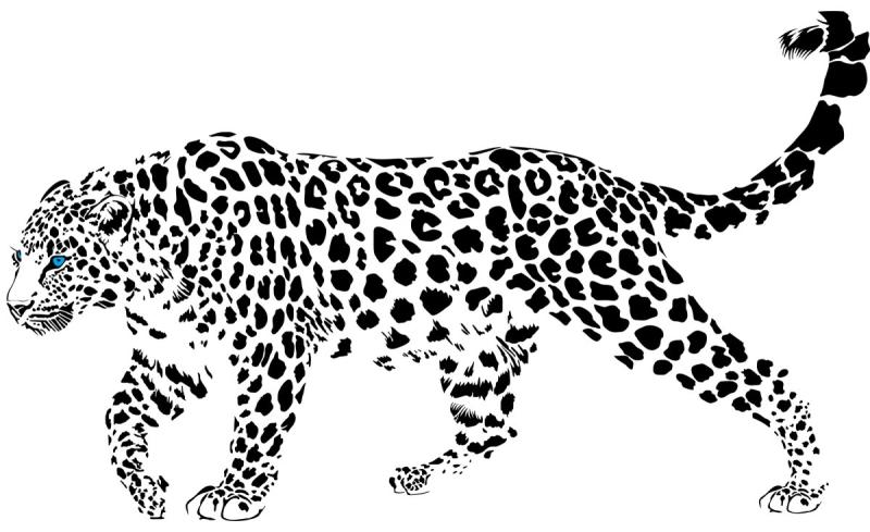 Раскраски леопардов