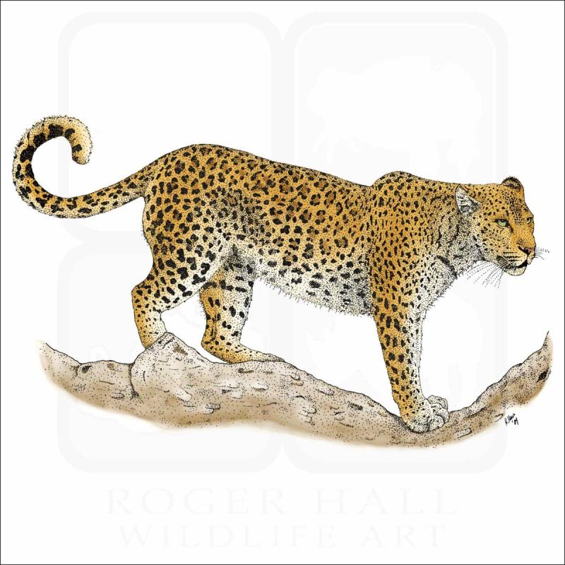 Значок переднеазиатского леопарда