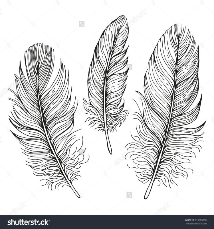 Красивое перо рисунок контур