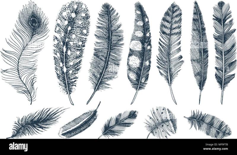 Стилизованное перо