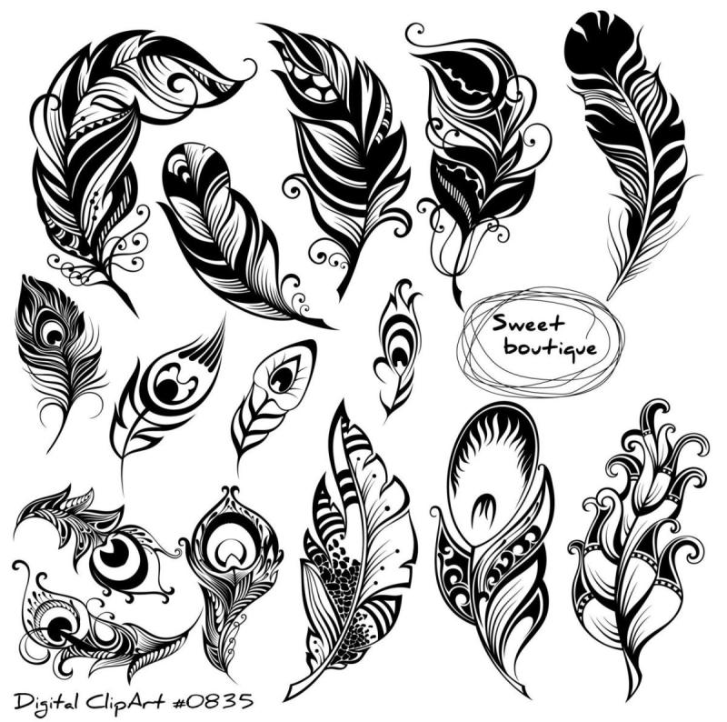 Перья эскиз на чёрном фоне