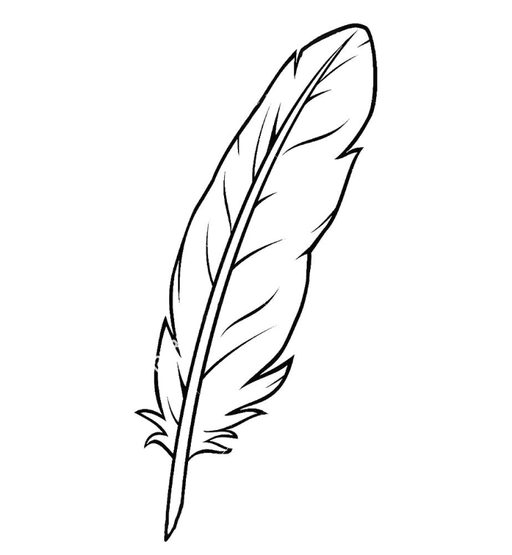 Перо раскраска для детей