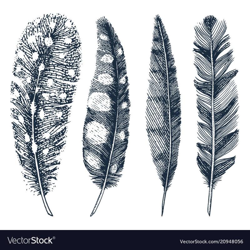 Нарисуйте всевозможные перья