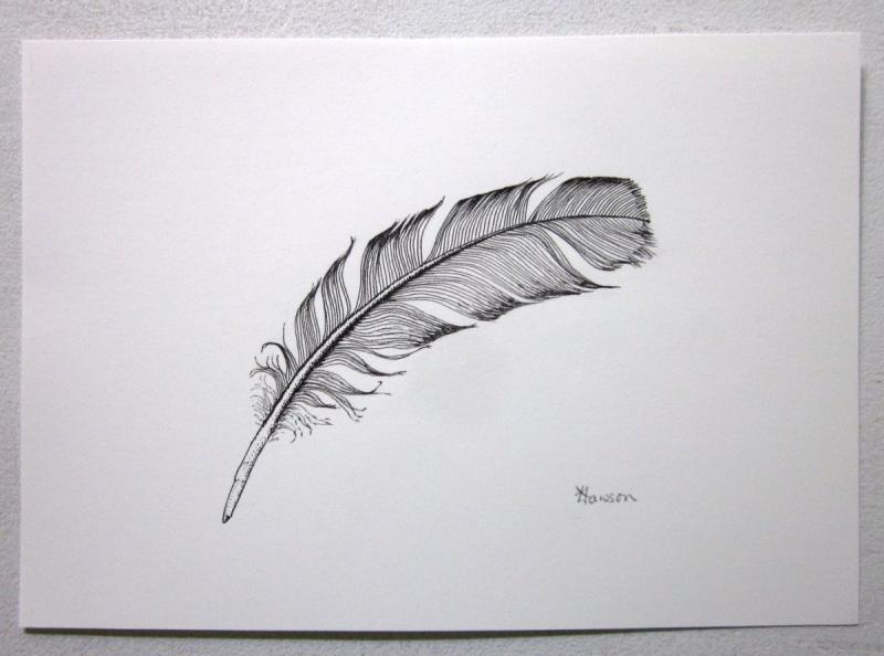 3fabca7a89c50aaad6ed94ab13f3d7cc--Feather-Sketch-Feather-drawing