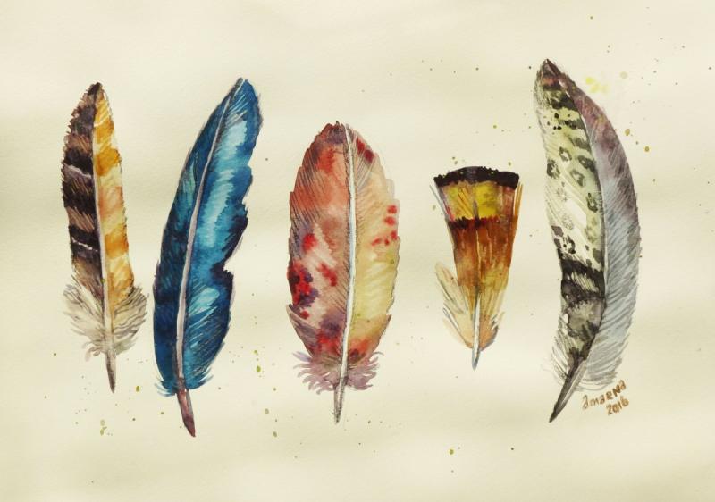 Мультяшные перья