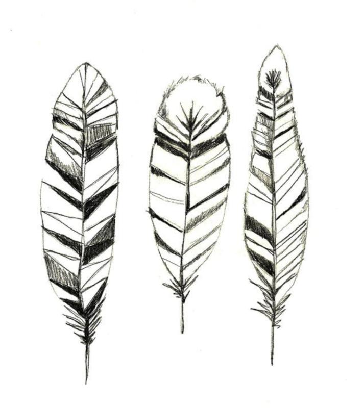 Перо рисунок