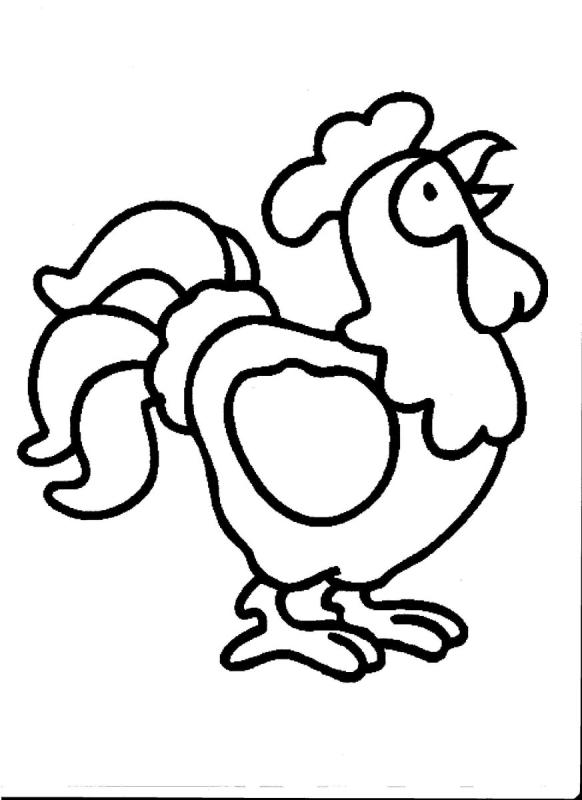 Петух рисунок