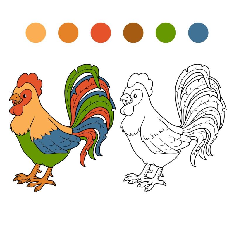 Петушок раскраска цветная