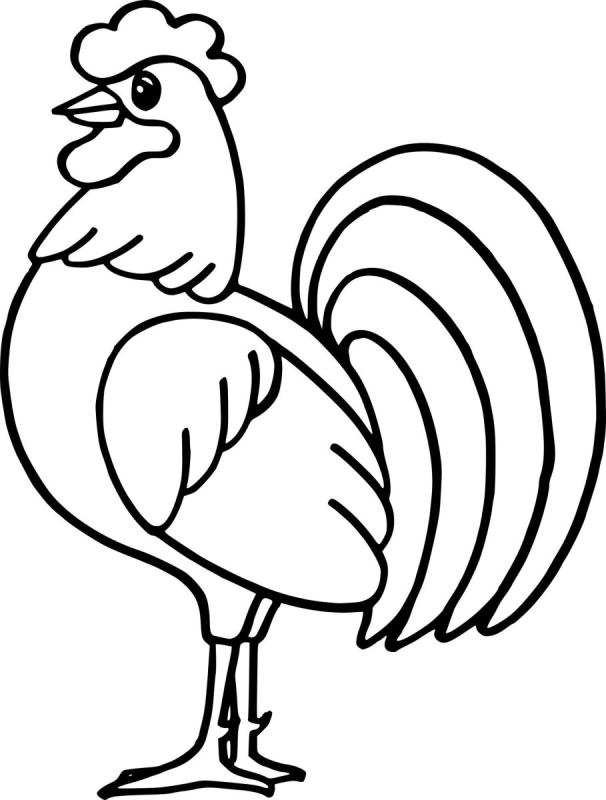 Петух раскраска для детей