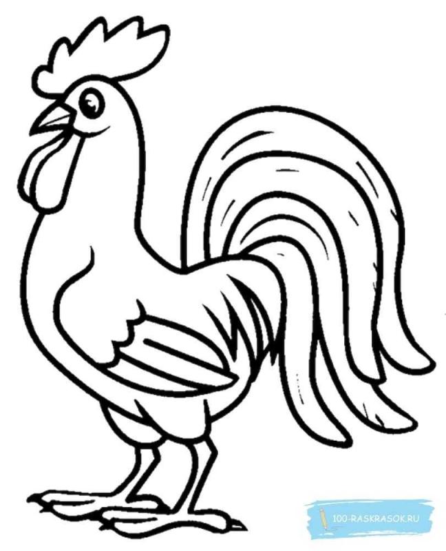 Петух раскраска