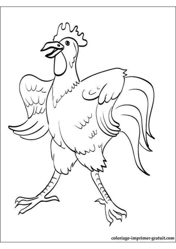 Петушок без хвоста раскраска75