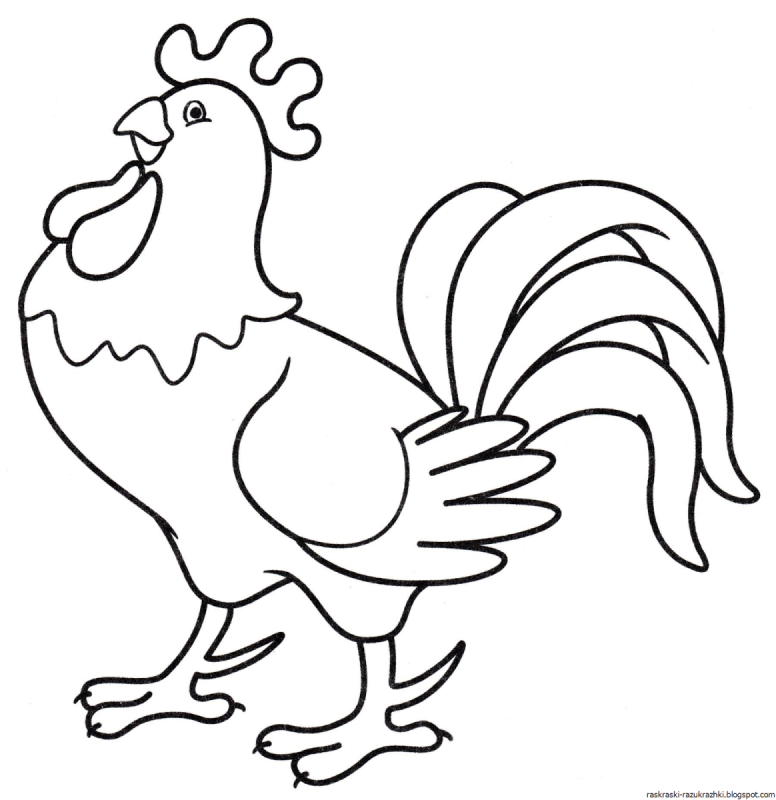 Голова петуха раскраска для детей