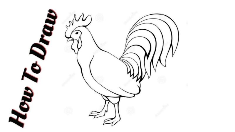 Контур черно белый петух