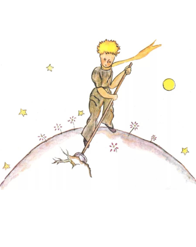 Роза на планете маленького принца