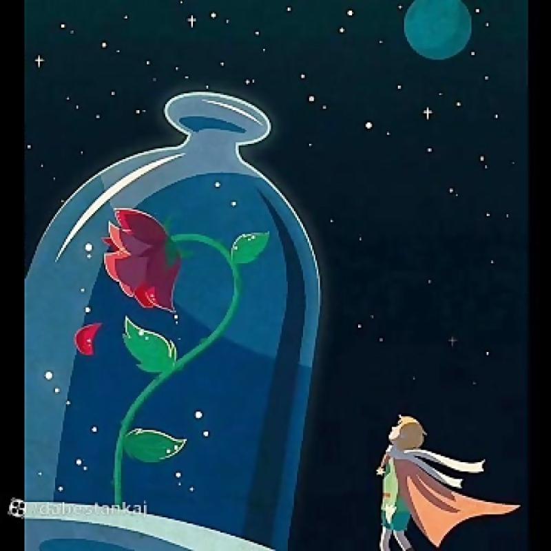 Экзюпери маленький принц Планета