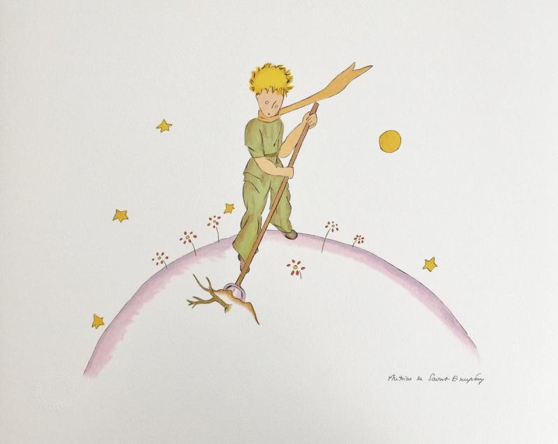 Образ маленького принца