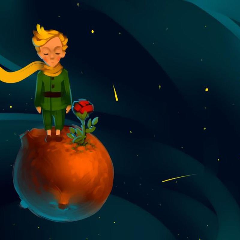 Экзюпери маленький принц роза