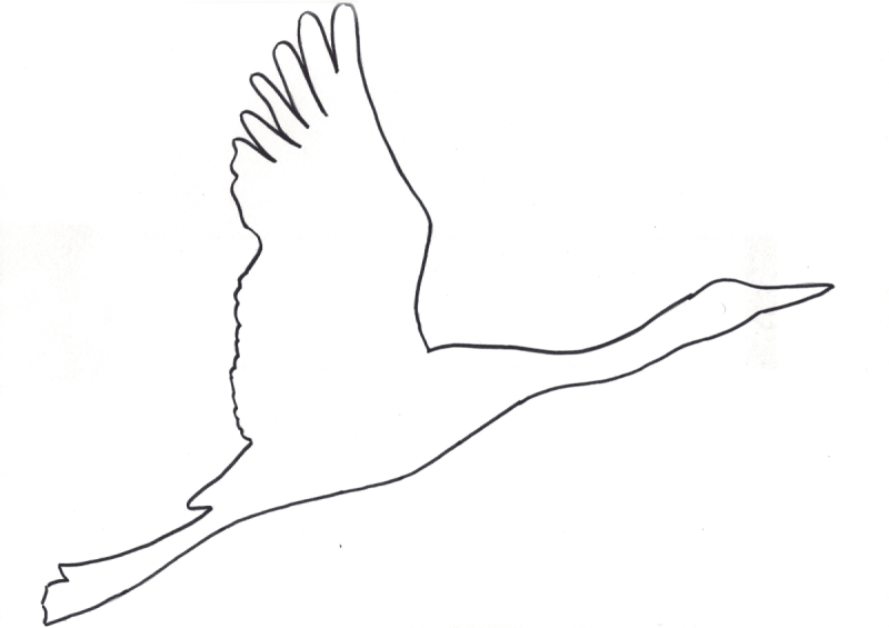 Скворец раскраска