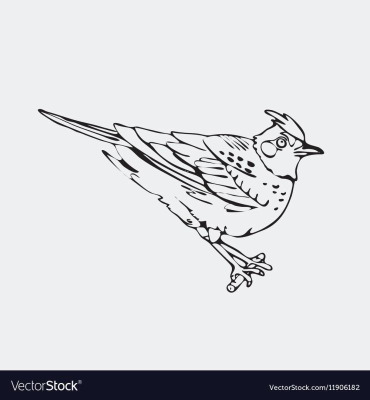 Жаворонки раскраска