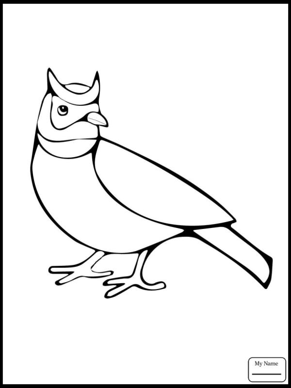 Раскраска зимующие птицы для детей 6-7 лет