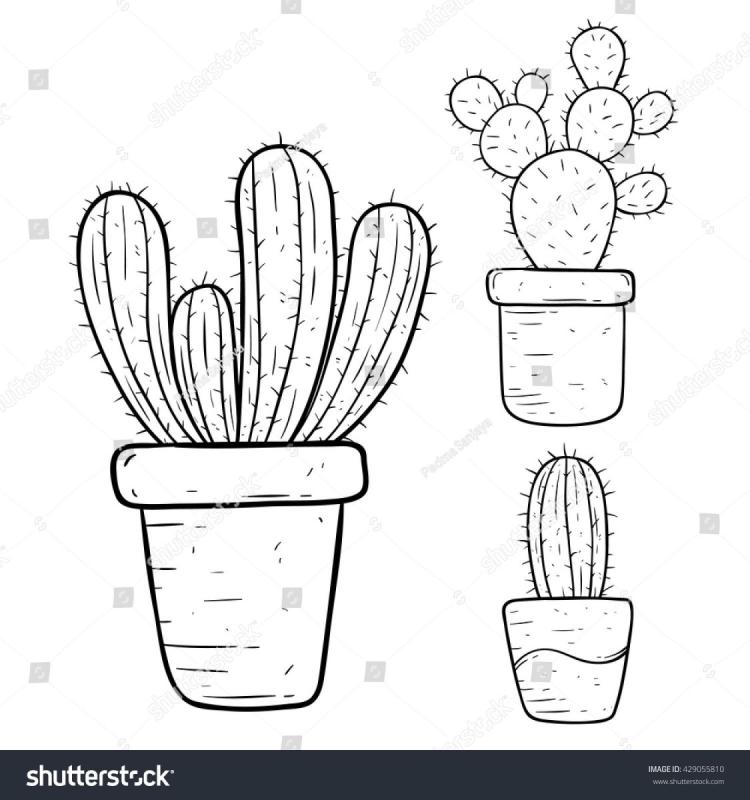 Кактус раскраска для детей