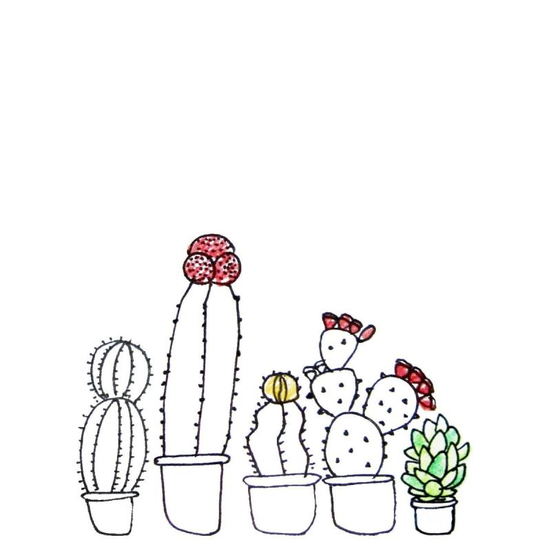 Раскраски кактусы милые