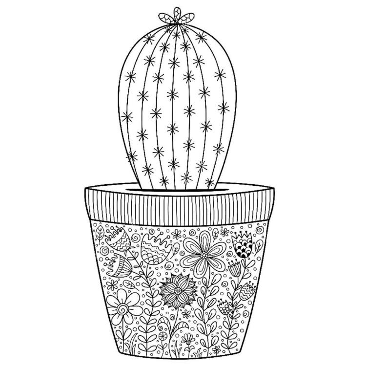 Кактус раскраска