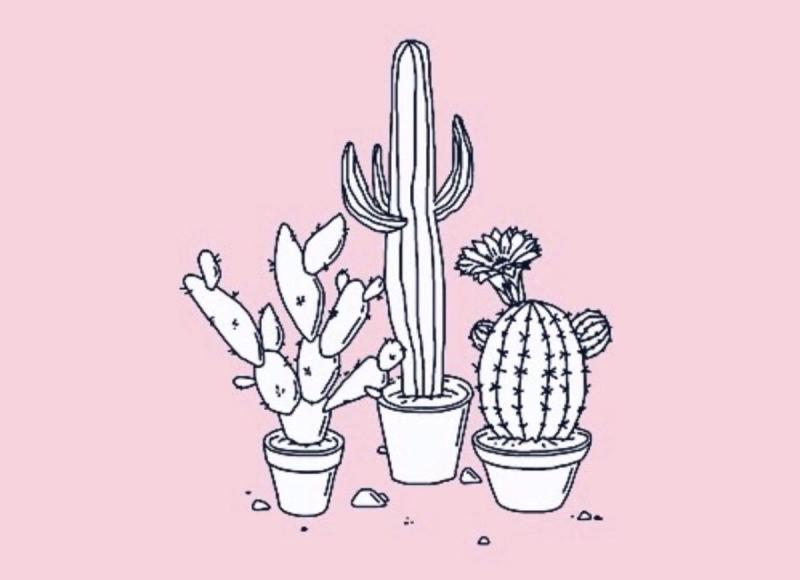 Маленькие наклейки с кактусом