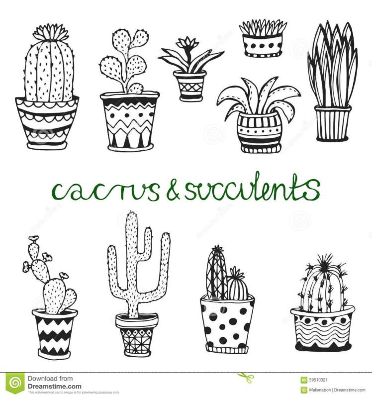 Цветы в горшках для скетчбука раскраски