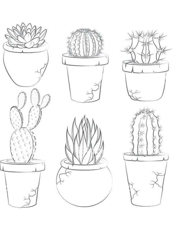 Раскраска кактус в горшке60