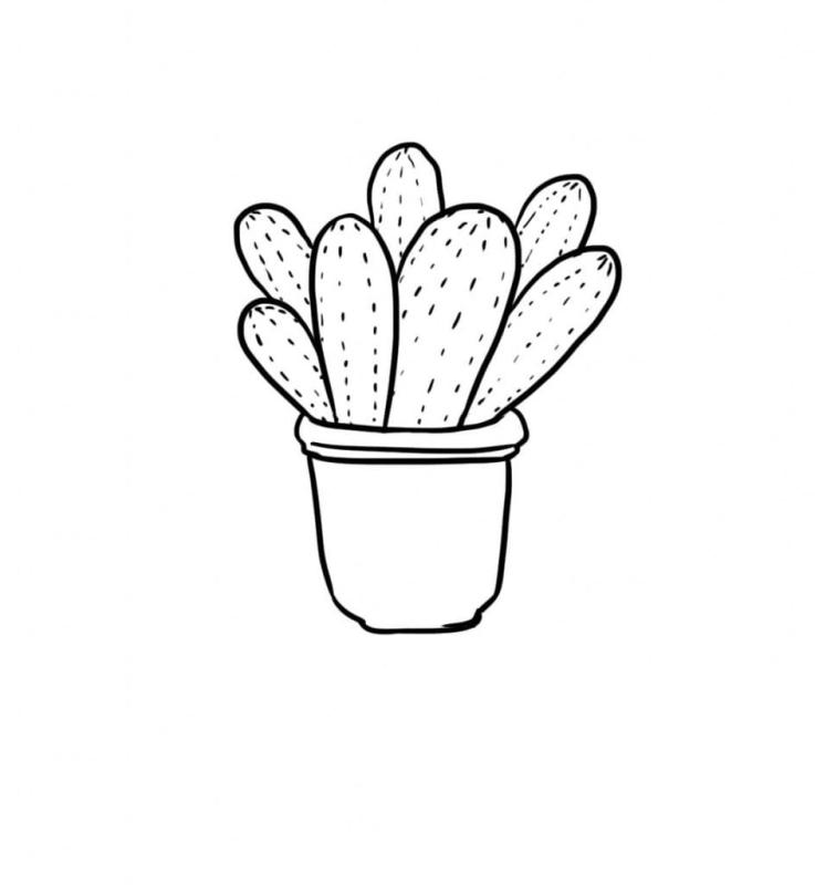 Кактус нарисовать карандашом легко
