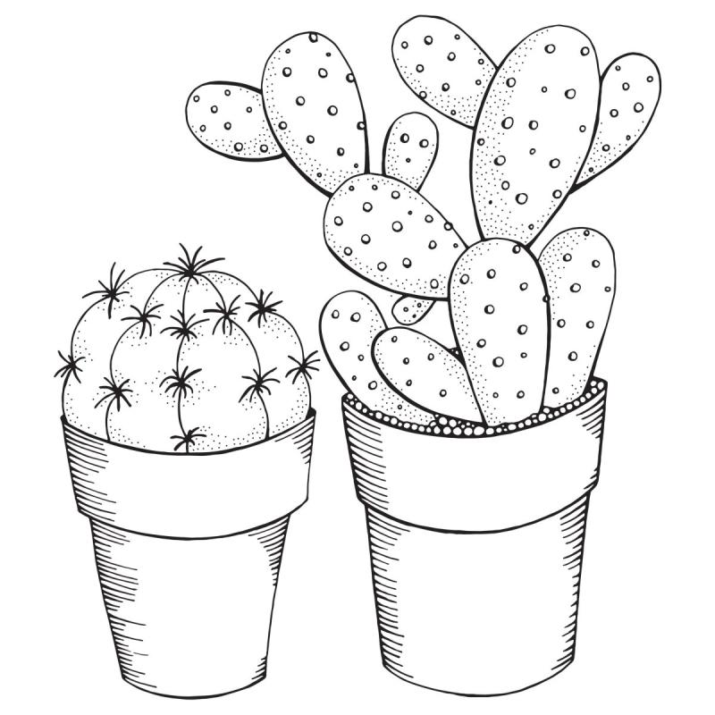 Кактус в горшке рисунок раскраска