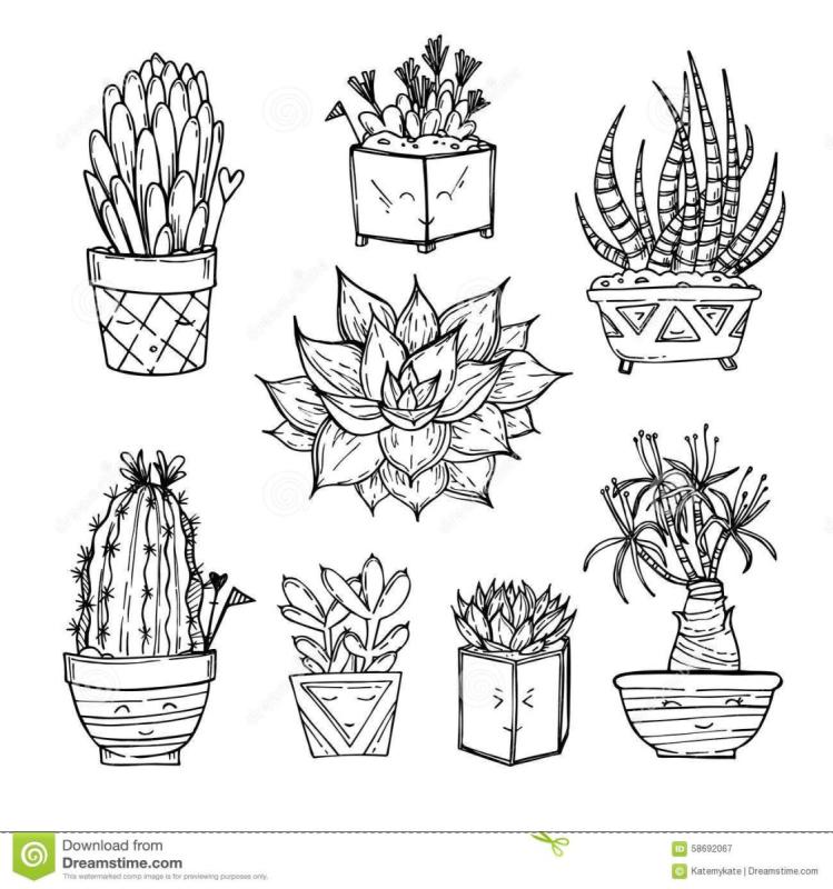 Кактус раскраска для детей