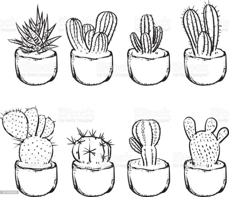 Кактус раскраска для детей