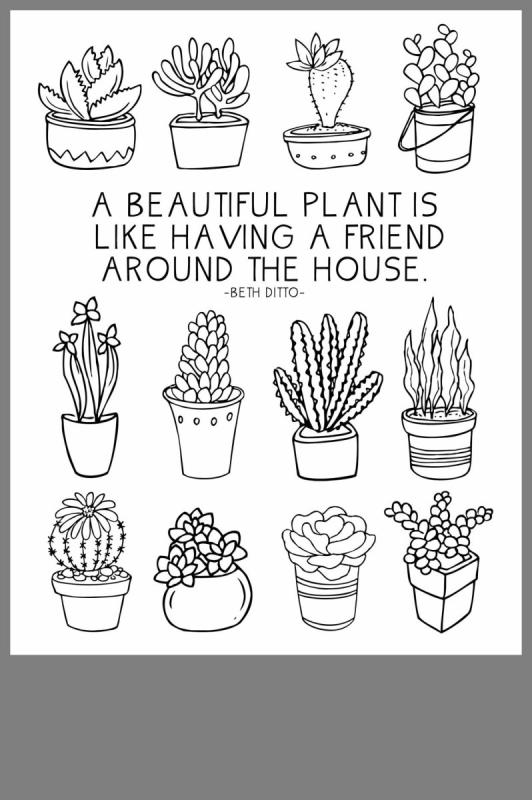 Кактус раскраска