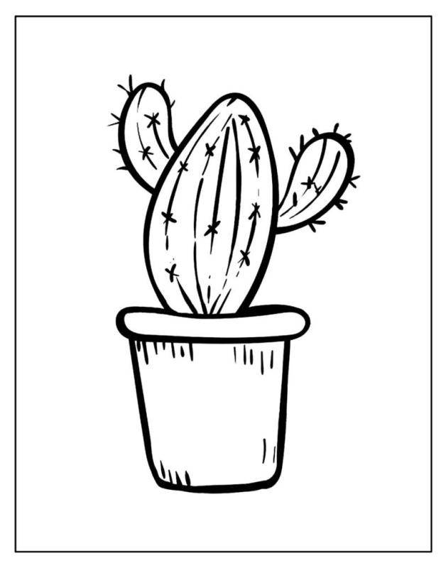 Рисунки для срисовки кактусы милые