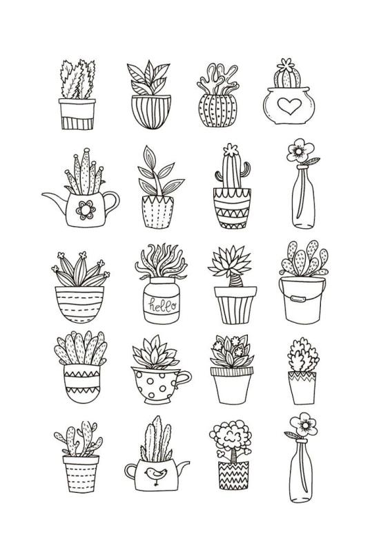 Раскраски кактусы милые