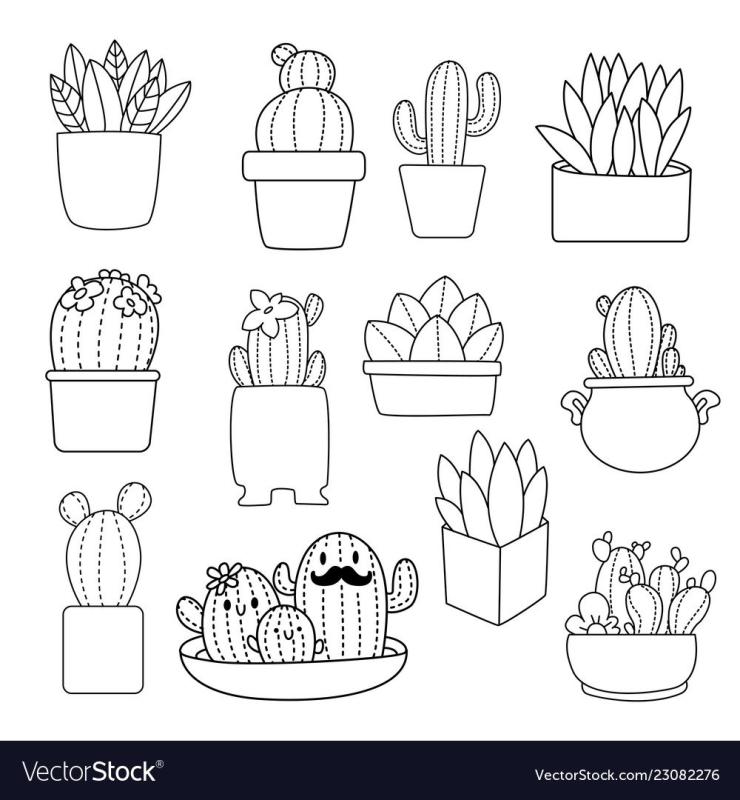 Раскраска много кактусов