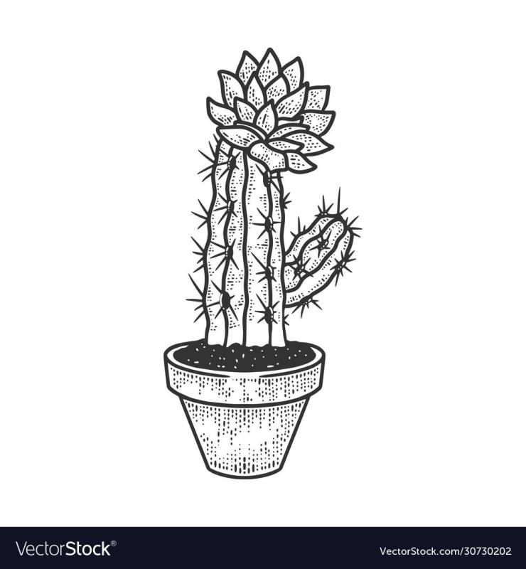 Кактус призрак